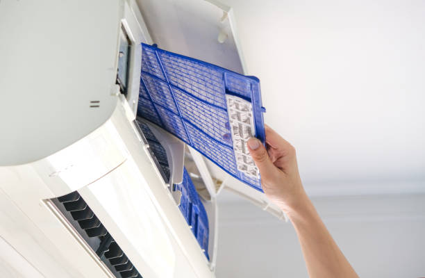 Air Duct Mold Removal in Cedar Knolls, NJ